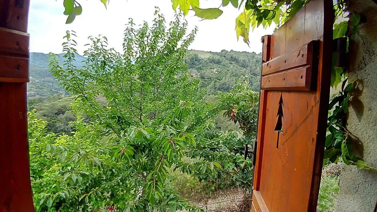 Agriturismo Rio Lovaira Villa Camporosso  Camporosso (Liguria)